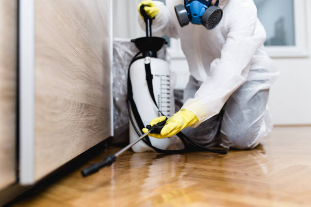 Best Mosquito Control Services  in Zeigler, IL