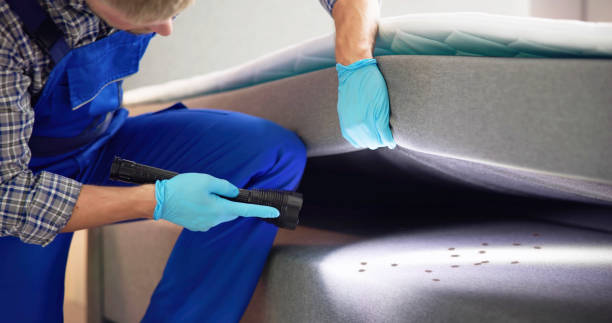 Best Pest Removal Services  in Zeigler, IL