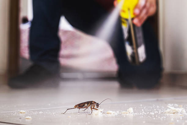Best Emergency Pest Control  in Zeigler, IL