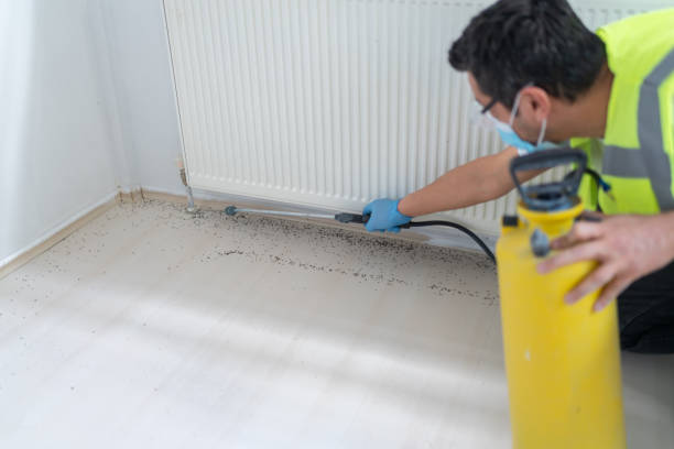 Best Exterminator Services  in Zeigler, IL